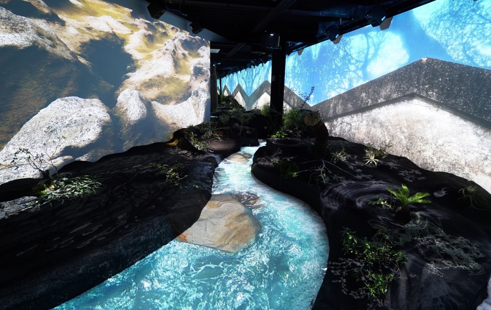 사진=아모레퍼시픽