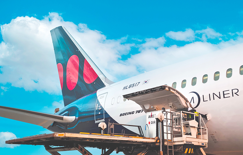 하이브리드 항공사 에어프레미아가 올해 총 2만1653톤의 항공화물을 수송했다. 사진=에어프레미아