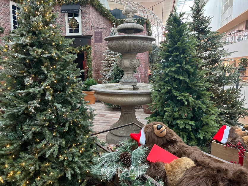 사진=김선주 기자