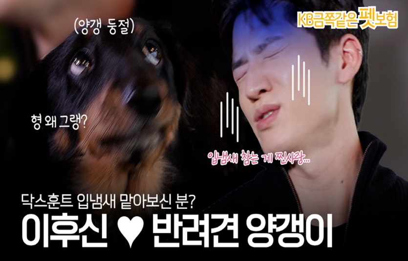 사진=KB손해보험