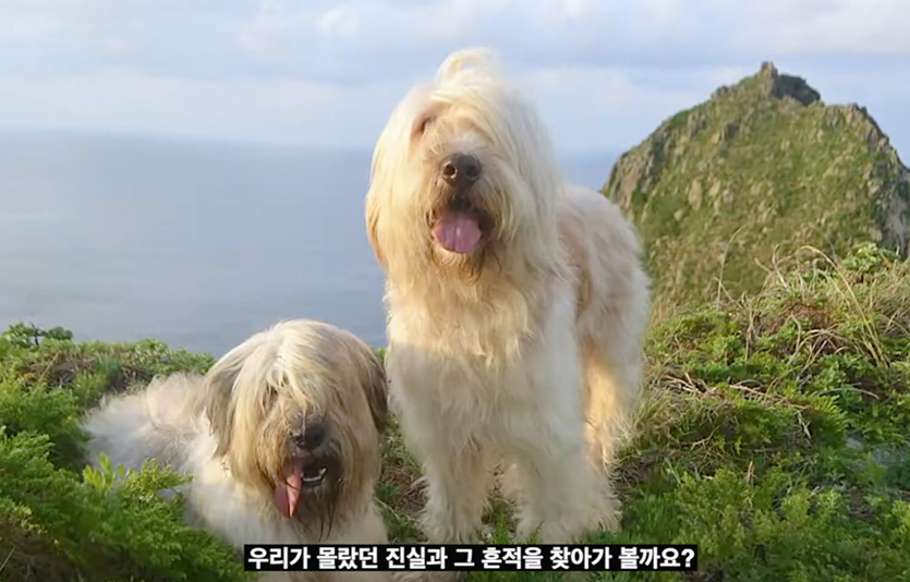 경덕 성신여대 교수는 배우 김남길과 의기투합해 독도 삽살개의 역사를 국내외에 알리는 다국어 영상을 제작해 공개했다. 사진=서경덕 성신여대 교수