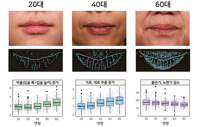 LG생활건강 입술노화 이미지 분석 사례. 자료=LG생활건강
