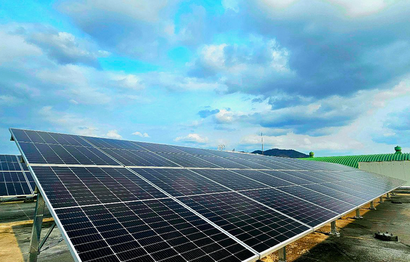 하림 삼기부화장 태양광 패널 전경. 사진=하림