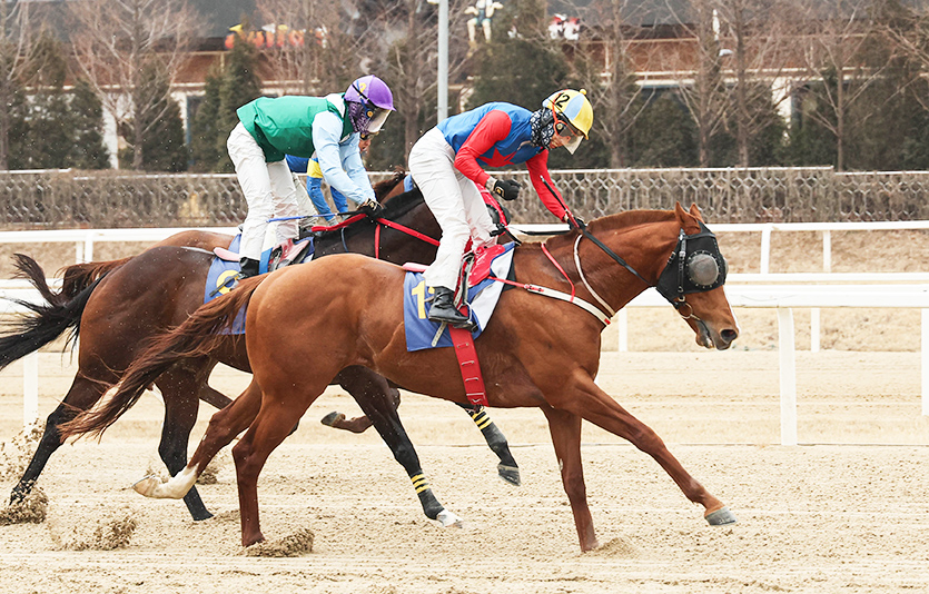사진=한국마사회