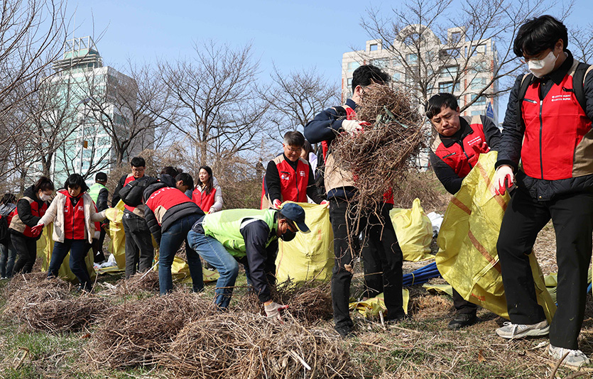 롯데마트와 슈퍼 샤롯데봉사단이 성내천 주변 유해 외래식물을 제거하는 모습. 사진=롯데쇼핑
