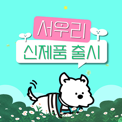 에어서울 신제품 서우리. 이미지=에어서울