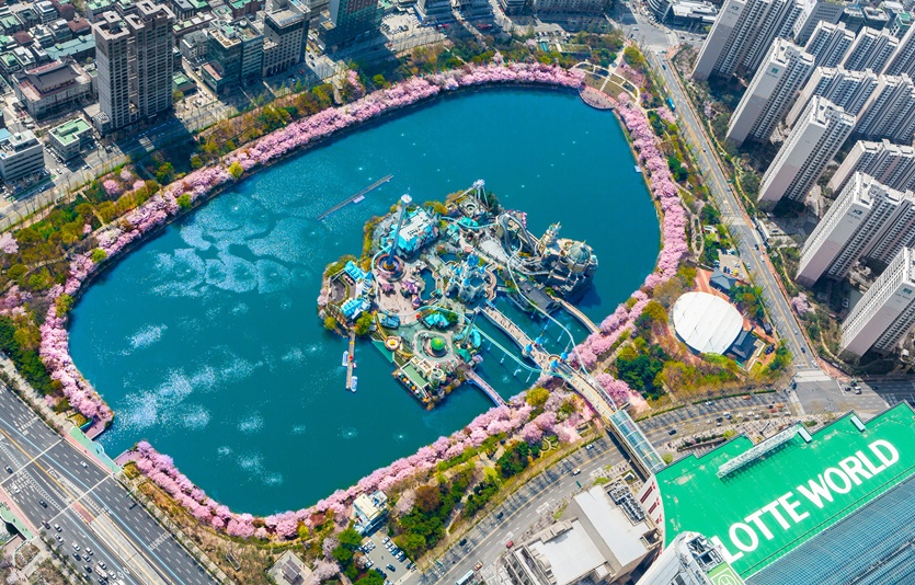 매직아일랜드 벚꽃 항공샷. 사진=롯데월드
