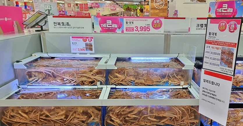 롯데마트 제타플렉스 잠실점 수산코너에 진열된 활 대게 사진. 사진=롯데마트