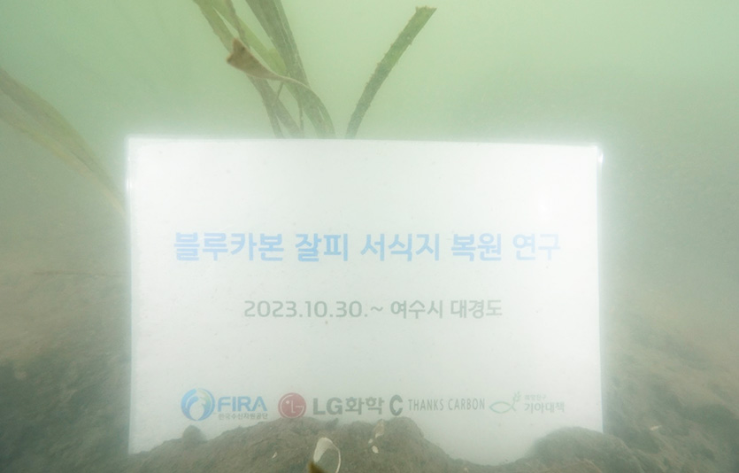블루카본 잘비 서식지 복원 연구 배너. 사진=LG화학-한국수산자원공단 남해본부