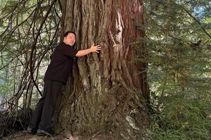 "연구 넘어 제품으로"...닥터오레고닌, 치주질환 천연물 연구성과 국내외... - 뉴스 썸네일 이미지